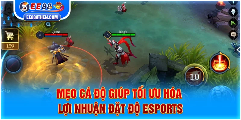 Mẹo cá độ giúp tối ưu hóa lợi nhuận đặt độ Esports